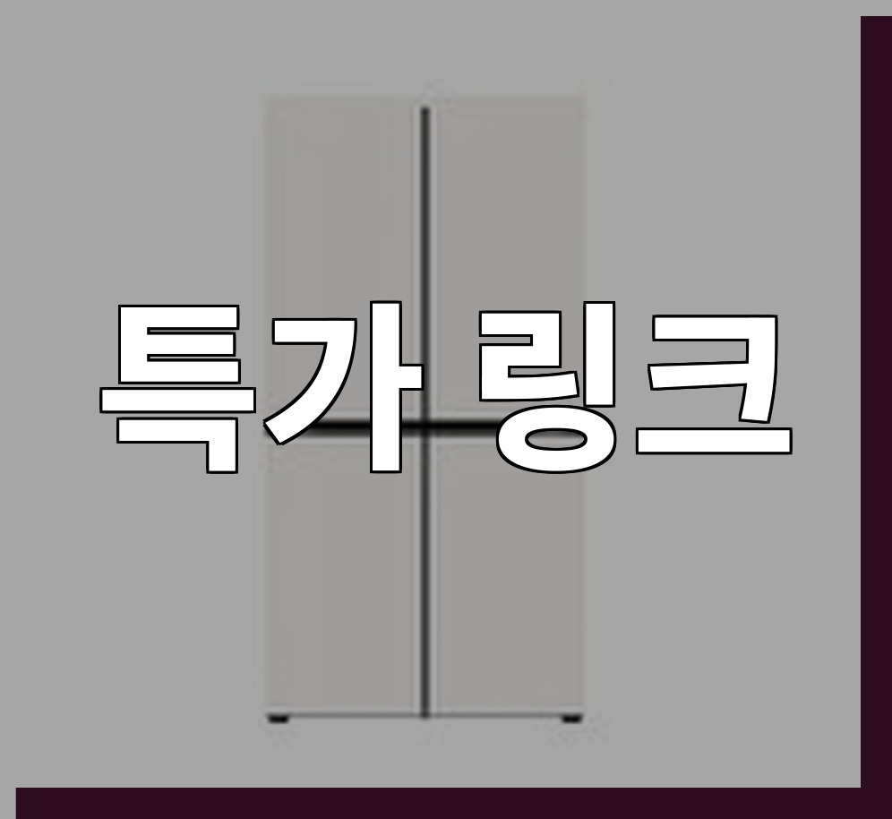 LG 냉장고 T876MEE141 (36개월) 상세 이미지 4