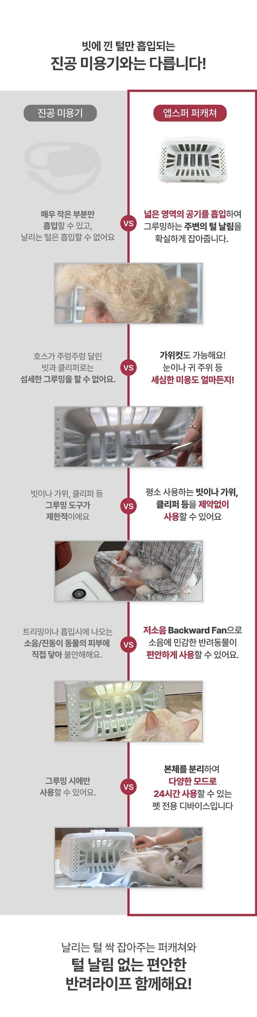 퍼캐처_BS (36개월) 상세 이미지 17