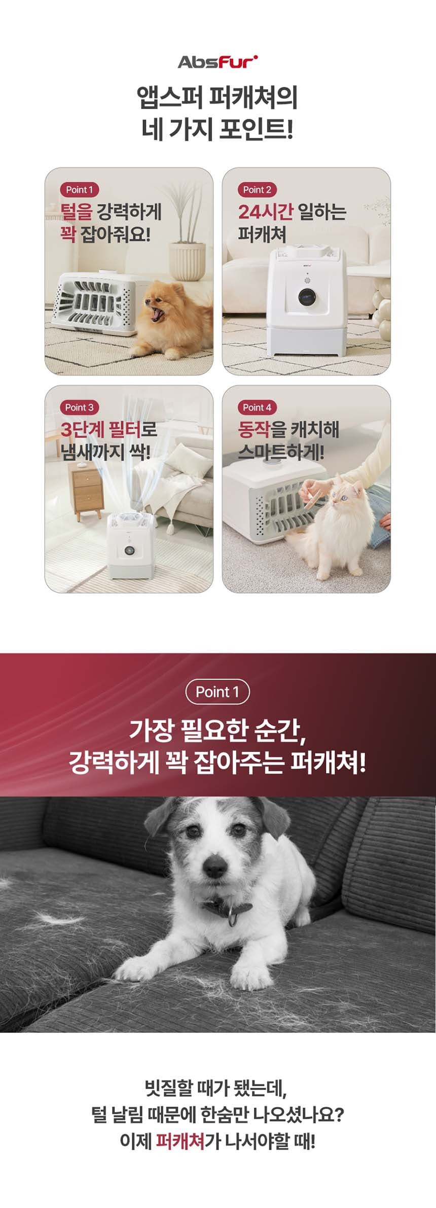 퍼캐처_BS (36개월) 상세 이미지 12