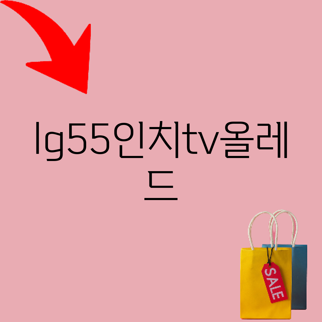 (2Q) LG TV OLED 55인치 벽걸이 (36) OLED55B6KW 상세 이미지 10