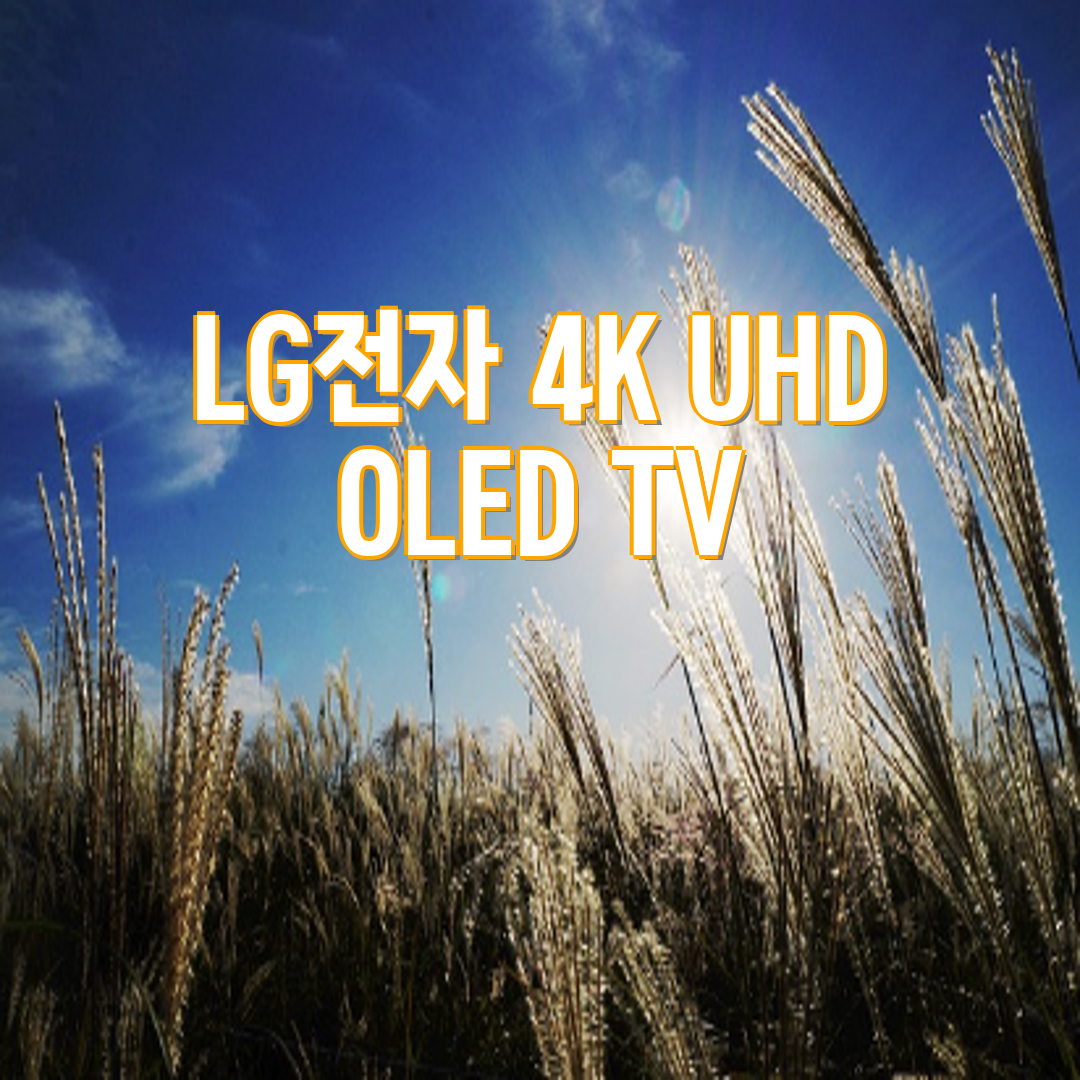 LG TV OLED65C6SS/W (36개월) 썸네일 2