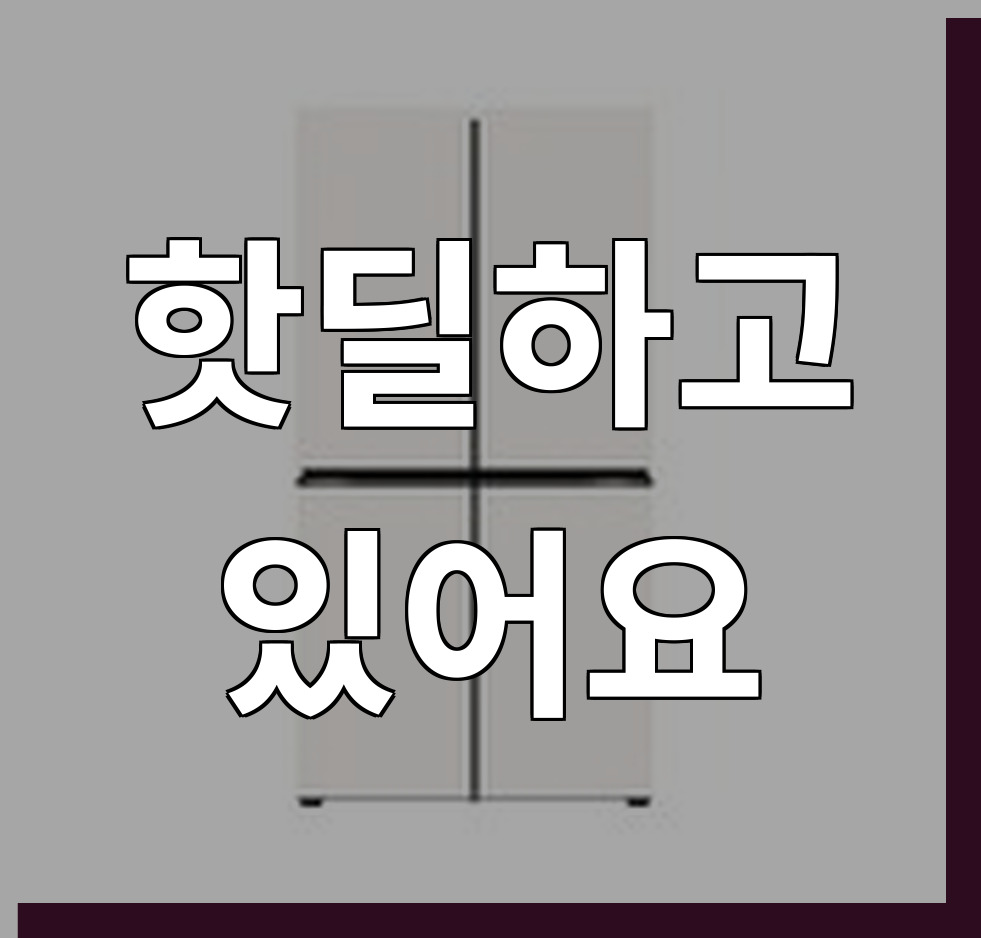 LG 냉장고 T876MEE041 (36개월) 썸네일 4