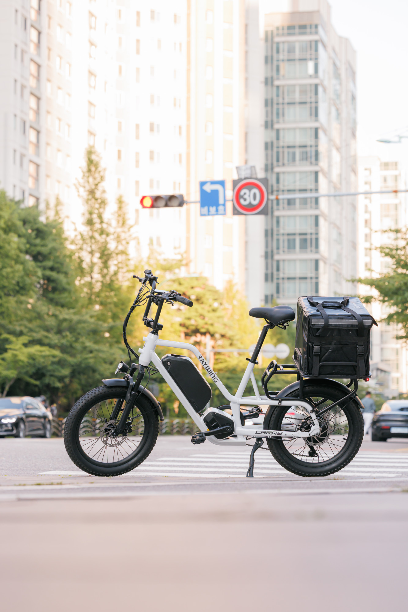 [레이윙] 캐리 전기자전거 CARRY_25A (펄화이트) CARRY_25A_WH (36) 썸네일 3