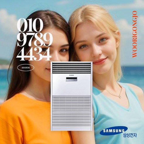 삼성 냉난방기 스탠드 58평 (36) AP230DAPDHH1S 썸네일 4